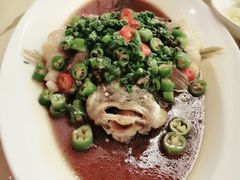 椒麻蒸桂花鱼-玫瑰厅上海菜(兴国路店)