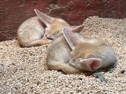 -Zoolung Zoolung动物主题公园(海信广场店)