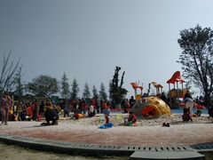 -铁山坪森林公园