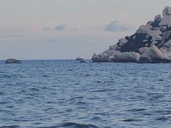 -那琴半岛地质海洋公园