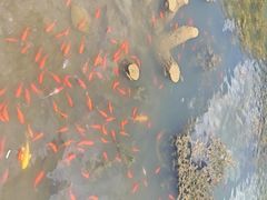 -桑干河大峡谷旅游区