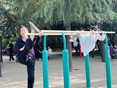 -西苑公园
