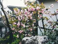 景点-檀园