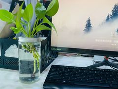 -素匠泰茶(三里屯SOHO工体奶茶店)
