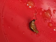 -肥汁米蘭香港米线(长宁来福士店)