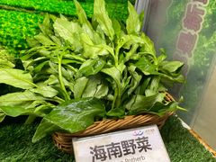 -欢乐海岸美食联盟