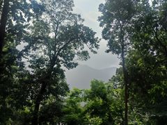 -北京上方山国家森林公园