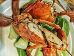 同安煎蟹-聪辉同安老美食饭店(大元路店)