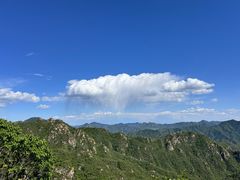 -大岭沟猕猴桃谷风景区