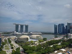 -新加坡瑞士史丹福酒店