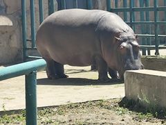 -哈尔滨北方森林动物园