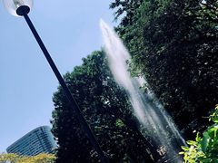 -九龙公园
