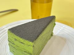 黑武士千层-王守财小山園