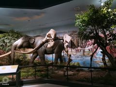 -湖南省地质博物馆