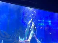 -江和美海洋公园