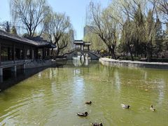 -团结湖公园