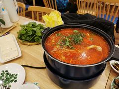 酸汤鱼火锅-贵凤凰贵州米粉(五道口店)