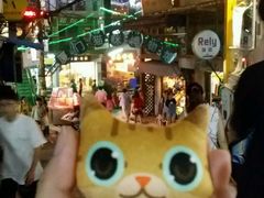 -猫咪博物馆(顶澳仔猫街店)