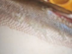 -海立阁海鲜江浙菜(漕河泾印象城店)