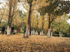 -白塘生态植物园