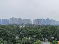 -南湖梦幻岛