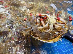 -前王院•巧克力海鲜市集餐厅(万平口店)