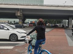 -北沙滩(地铁站)