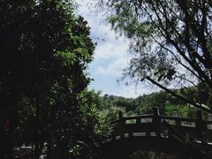 -白马涧龙池景区