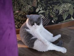 -暗楼·剧本杀·桌游