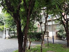 -瑞霖·隆江猪脚饭