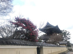 -清凉寺