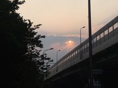 -霸王虾·麻辣小龙虾(清水河公园店)