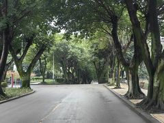 -西南政法大学(沙坪坝校区)