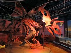 -正佳自然科学博物馆