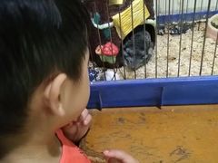 -上海大自然野生昆虫馆(东方明珠·爬宠昆虫探索中心)