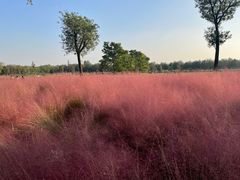 -汉长安城未央宫国家考古遗址公园