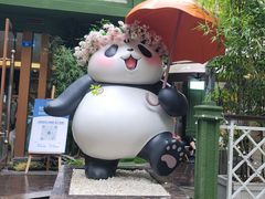 -轩客会(熊猫书店)