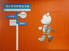 -野狸岛