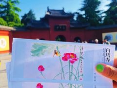 -洛阳白马寺