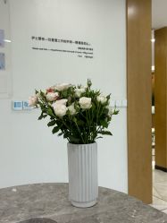 -智美品质医美