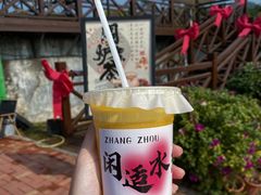 -东南花都花博园