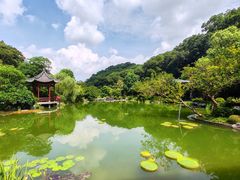 -云溪植物园