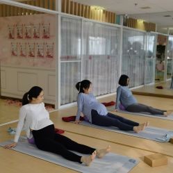 -爱尔乐美孕产瑜伽·普拉提