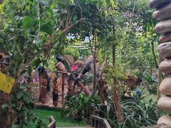 -呀路古热带植物园