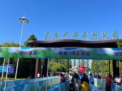 -黄海国家森林公园