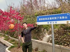 -桃源山庄·水蜜桃采摘·柴火鸡·烧烤团建(龙泉山店)