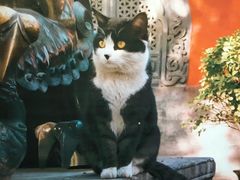 -天幕新彩云国际影城(激光巨幕店)