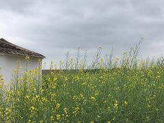 -光明小镇欢乐田园