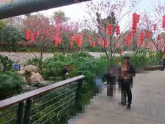 -牛岗山公园