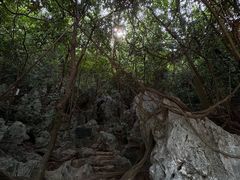 -杭州西湖风景名胜区-三生石